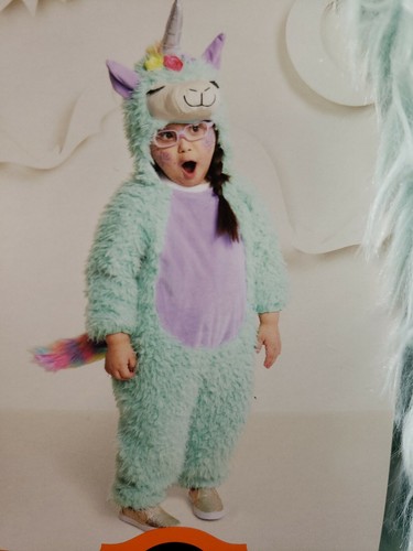 NWT, Infant/Toddler Plush Magical Llama 