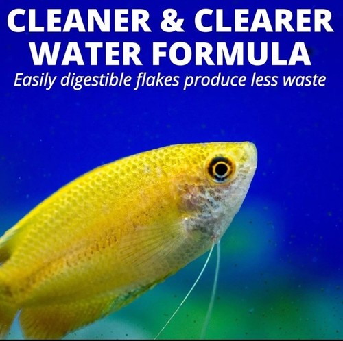 Tetra TetraMin Tropical Flakes, Nutritionally Balanced Fish Food, 2.2 oz. FASTsh - Picture 6 of 8