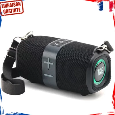 Enceinte Bluetooth Sans Fil Sangle IPX4 Lumières LED 1200mAh Type-C USB SD AUX - Photo 1/4