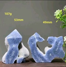 Rare Blue Agatized Coral Fossil x2 - Beautiful Collectors Peice 