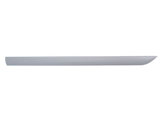 Right Front BLIC 5703-04-2532576P Trim/Protection Strip, wing for FORD