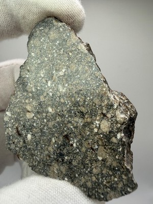 NWA 17611 Diogenite Breccia Meteorite 46.7 gram polished End Cut w/ Anorthosite