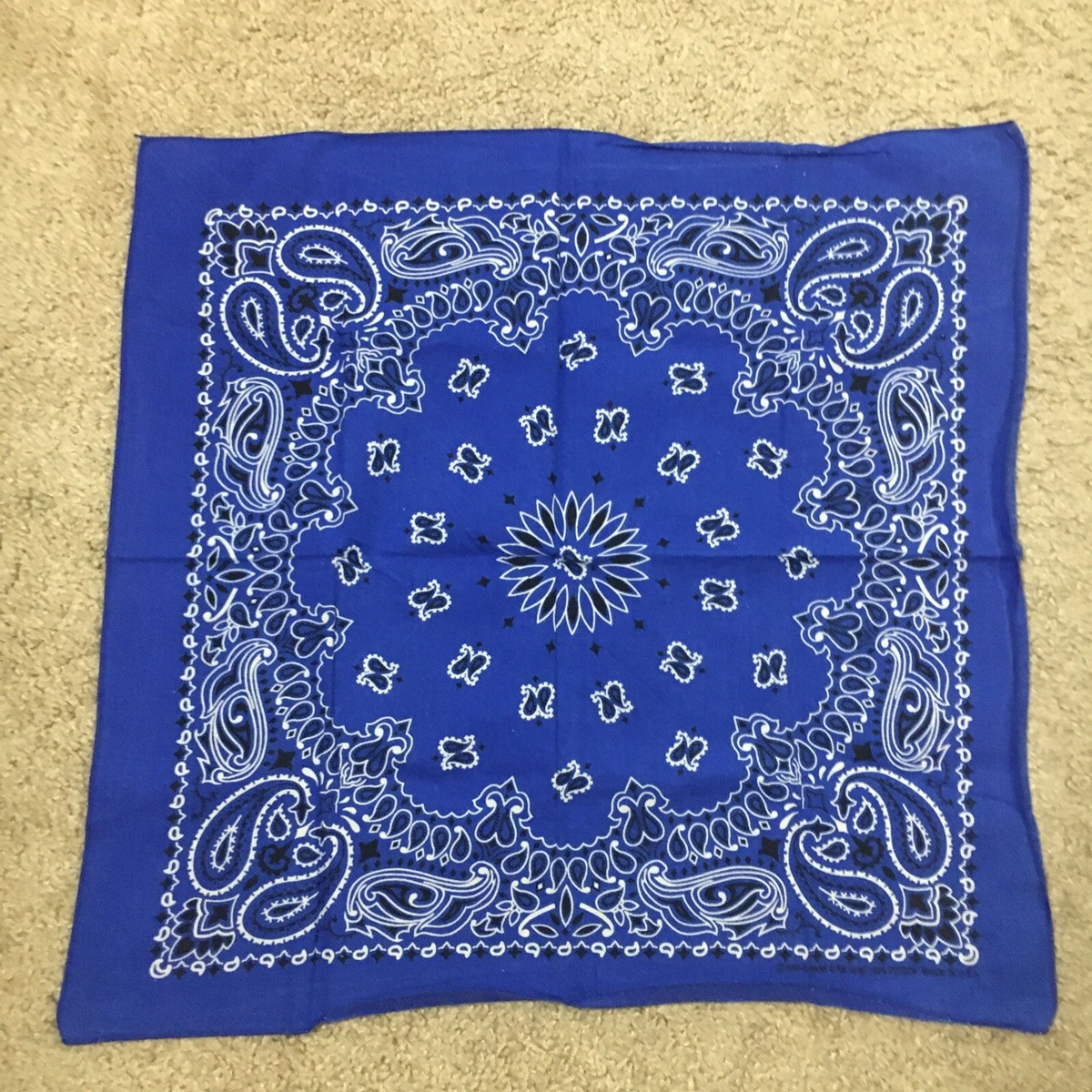 Vintage Hav-A-Hank Blue Paisley Bandana Cotton USA 20” | eBay