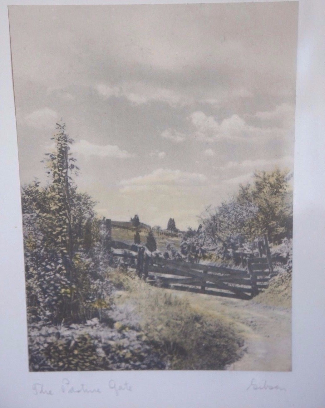 Picture 2 of 3
