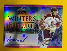 D55353 16-17 Leaf Metal Winters Future Prismatic PINK Antoine Morand AUTO  #1/7