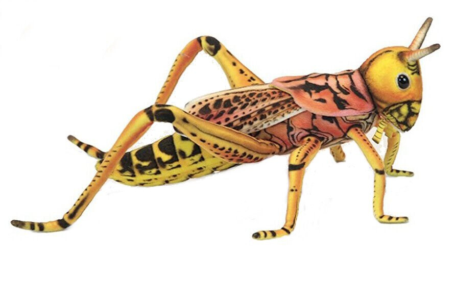 Hansa Locust, Grasshopper 6569 Soft Toy Sold by Lincrafts UK Est 1993