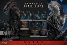 Hot Toys Alien Romulus Scorched Xenomorph MMS784 1/6 Scale Collectible Figure