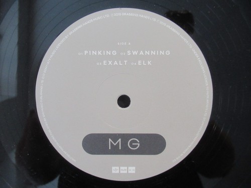 MARTIN L GORE MK / 2 LP Set EU 2015 MUTE STUMM 381 - Picture 6 of 9