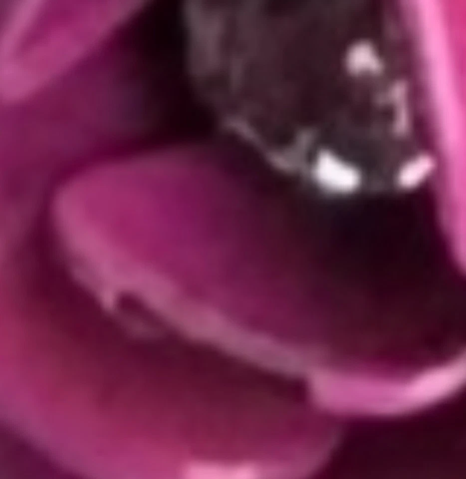 Juicy Couture Ring - Image 4 of 4