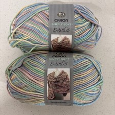 Caron Simply Soft Paints Yarn 2 Skeins Tapest...