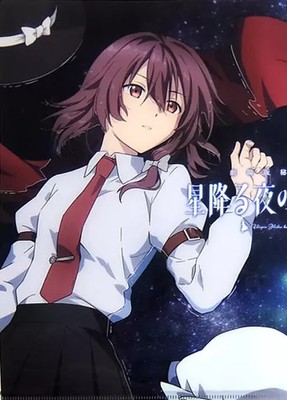 Touhou Project Usami Sumireko A4 Clear File TUMENECO C94 Summer