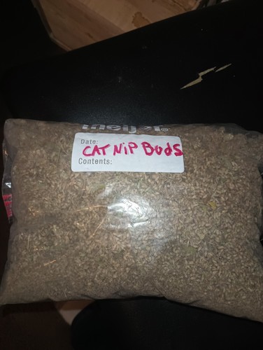 Wild Catnip Bud 1 Oz