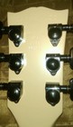 Picture 5 of 11