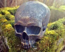 Antiqued Golden Skull Statue, Human Skull Replica, Halloween Skull, Gothic Decor