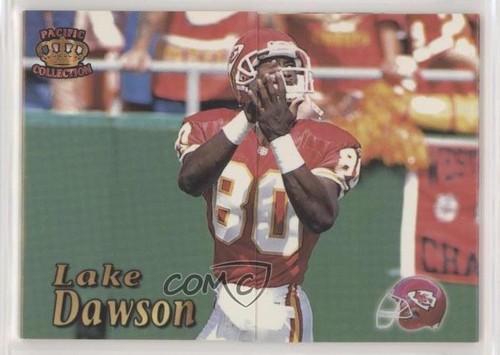 1995 Lake Dawson #5