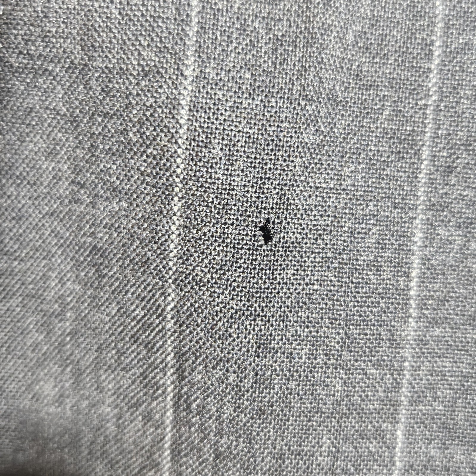 Picture 19 of 24