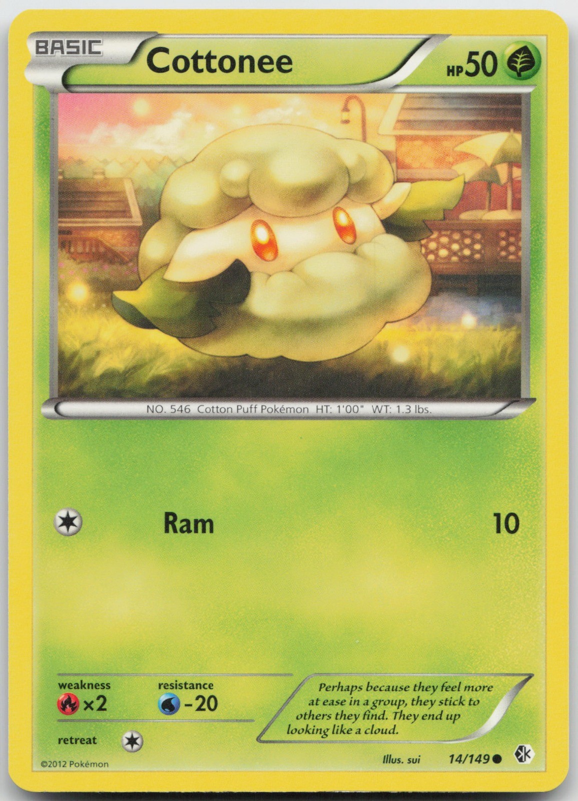 Cottonee Common Grass Boundaries Crossed 14/149 LP 2012 sui Regular