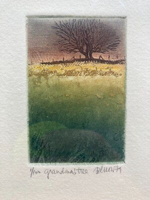 Sheila Benow Clark (1939-2012) 'Grandma's Tree' Aquatint Etching Signed #d 1/100