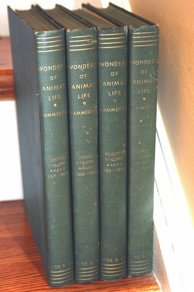 希少　洋書　1942年　古書　Animal Life Of The Wonders of Animal Life J.A. Hammerton 4-Vol Book Set