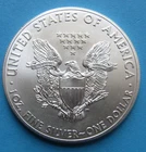 2014 American Silver Eagle