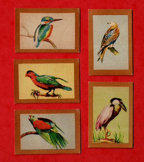 BIRDS OF THE WORLD SERGEANT DAN AUSTRALIAN ISSUE BREAKFAST CEREALS 5 CARDS