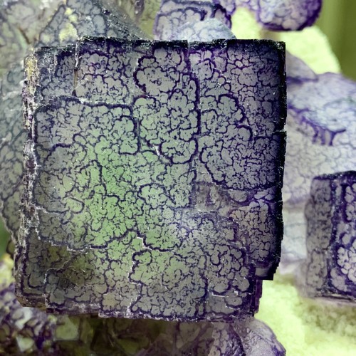 1,27 Pfund natürliches lila "QR-Code" Fluorit Cluster Kristall Mineral Probe/Guizhou - Bild 8 von 20