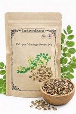 150 Moringa Seeds Moringa Oleifera   Fast Growing Tree Seeds for Planting