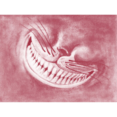 Alice Wonderland Cheshire Cat Smile Leinwand Wandbild Kunstdruck