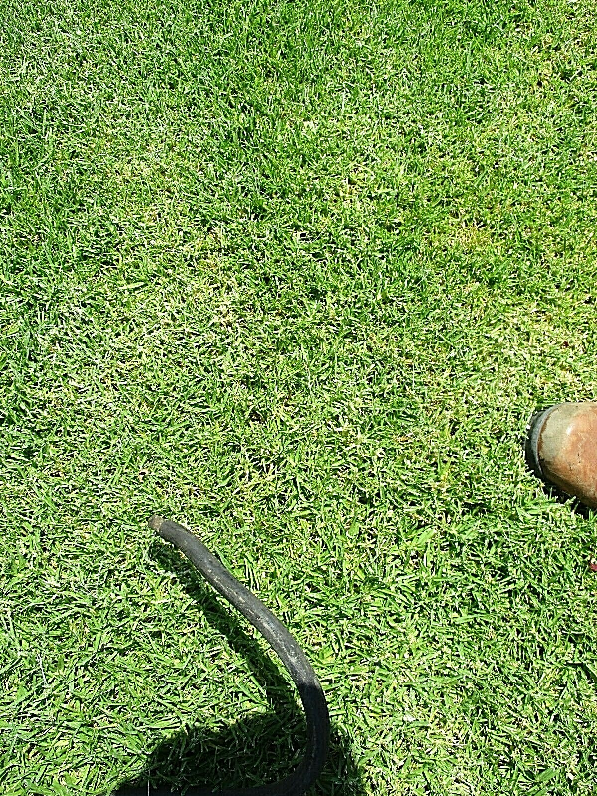 TRANSMISSION COOLER HOSE VOLVO 240 TURBO eBay