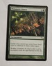 MTG Prismatic Omen - Shadowmoor Regular - NM Magic The Gathering 