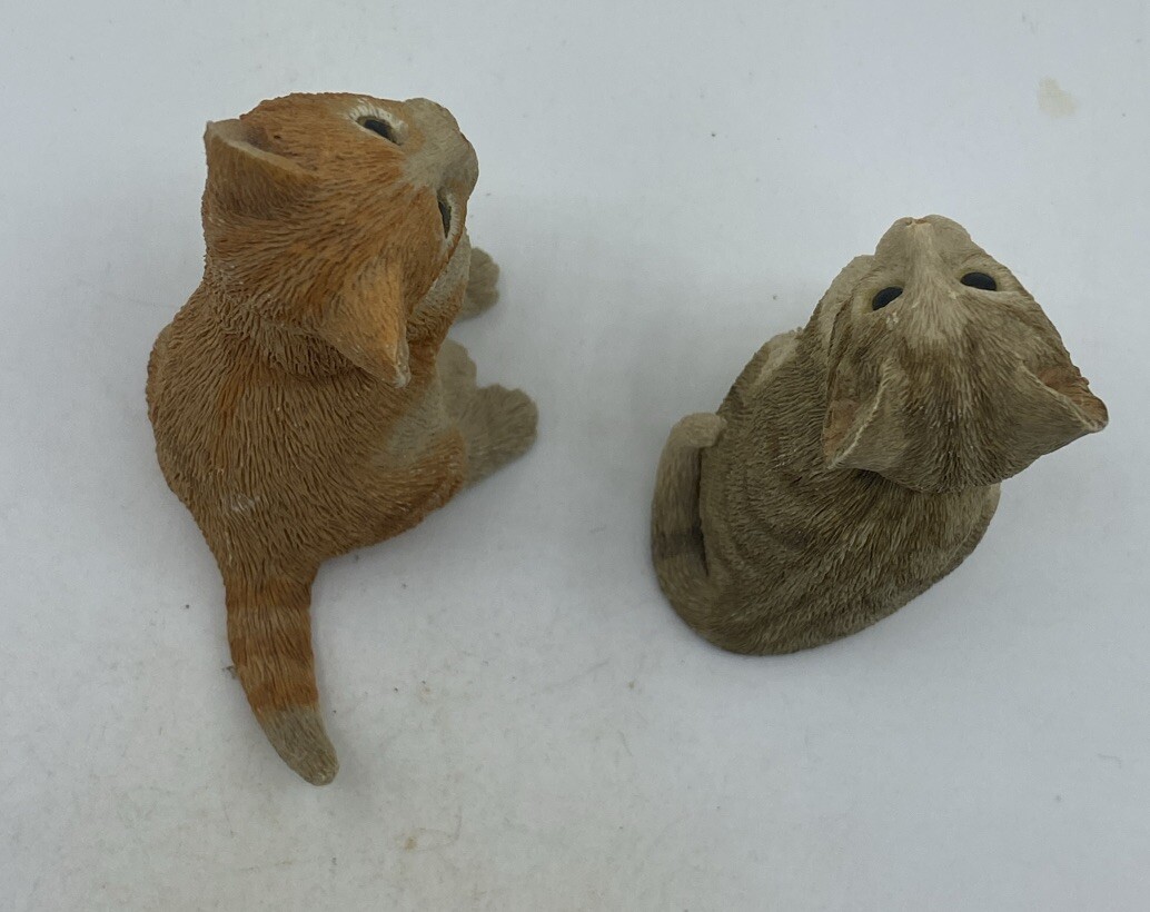 Picture 6 of 6