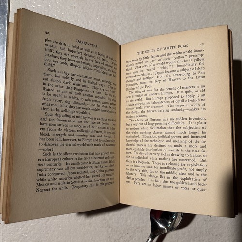 Darkwater - W.E.B. Du Bois, First Edition Harcourt, Brace and Howe 1920 - Picture 6 of 10