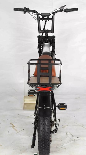 Doppelmotor E Bike 20 Zoll 2000W Elektrofahrrad 48V 30Ah Abnehmbarer Akku Schwar - Bild 7 von 10