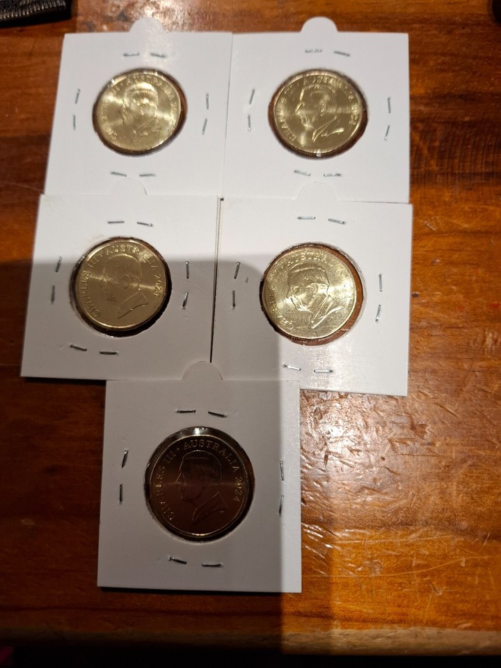 bluey one dollar coins from a bag unc eBay