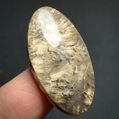 Natural Plume Agate 33x18x5.5mm High Quality Cabochon 26 ct - Picture 4 of 7