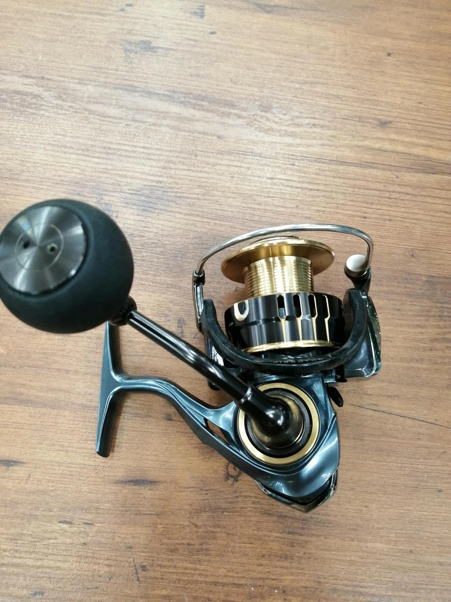 DAIWA 17'THEORY 4000H SPINNING REEL 331159