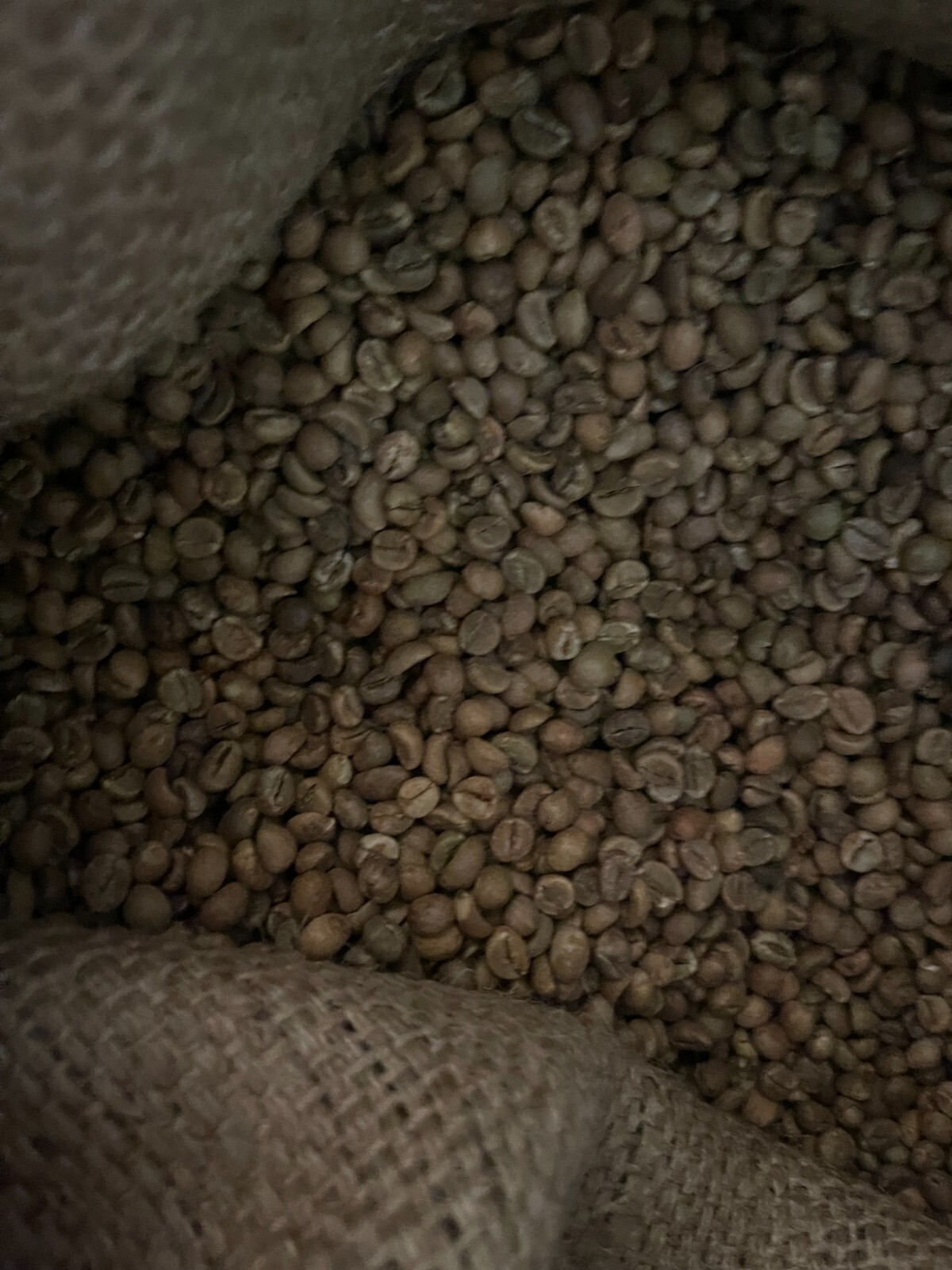 organic green  Robusta coffee beans from Tanzania 2 pounds