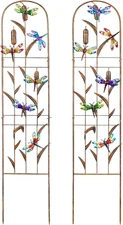 Set of 2 Dragonfly Metal Garden Trellis for Climbing Plants, Decorative Vegetabl