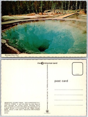 Continental Morning Glory Pool Yellowstone National Park Postcard
