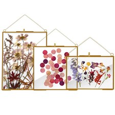 3 Pcs Glass Picture Frame for Pressed Flower,Golden Hanging Photo Frame Clear...