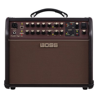 Boss Acoustic Singer Live