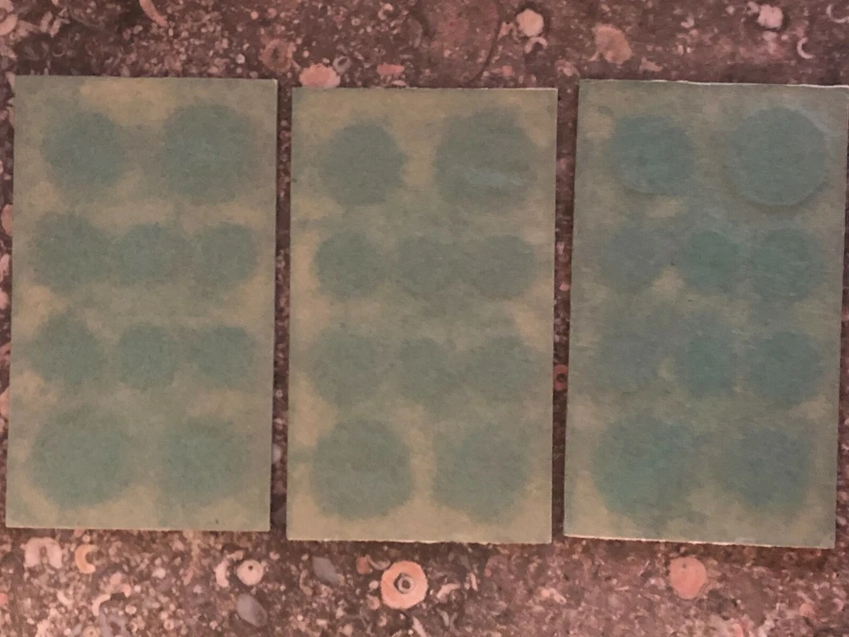 1955 U.S. Complete Original Naturally Toned Double Mint Set 22 Coins 12 Silver - Image 4 of 4