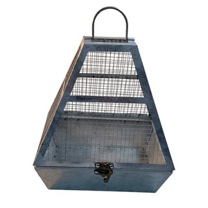 Unbranded Galvanized Metal Wire Mesh Lantern or terrarium Decor Silver Farmhouse