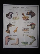 Y013 AFFICHE SCOLAIRE ECOLE ROSSIGNOL OISEAUX VIPERE ET LEZARD ETAT MOYEN