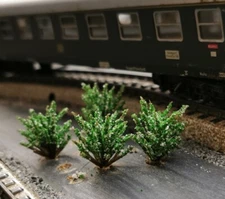 10 White Blooming Bushes, Shrubs, 30 mm High, for Landscape Construction