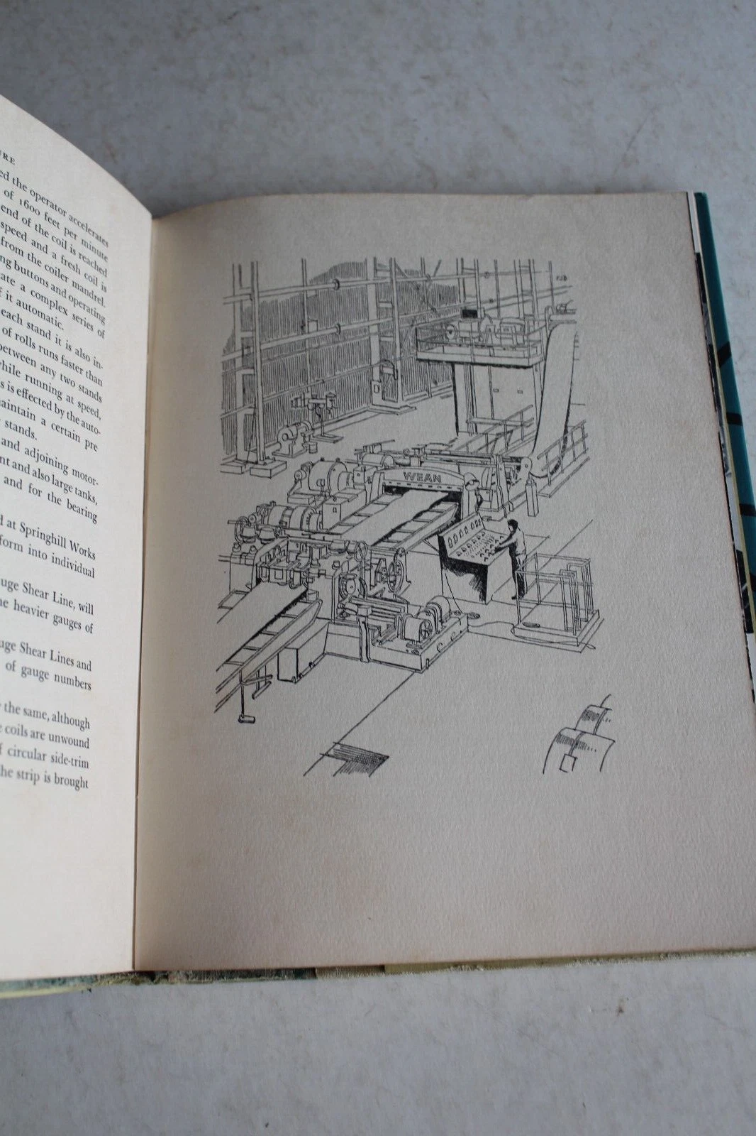 Picture 6 of 6