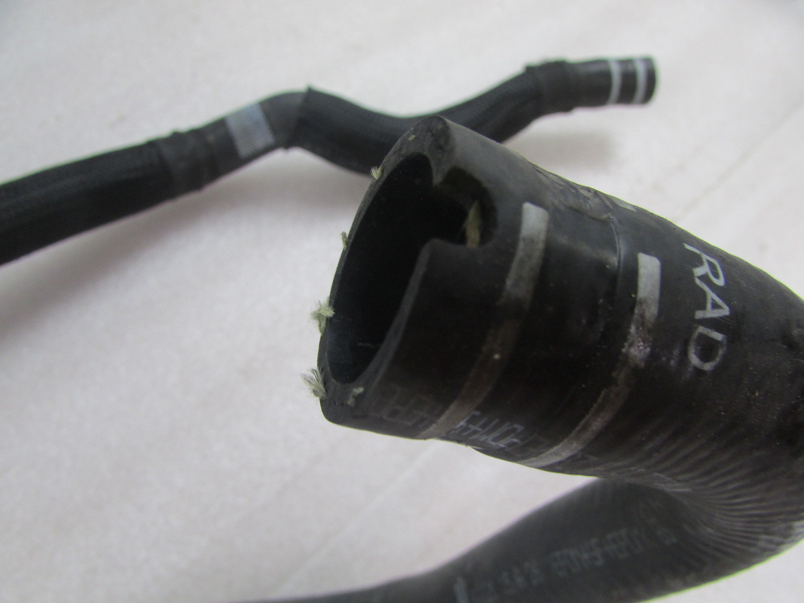Maserati Ghibli, Oil/Air/Water Hose, Used, P/N 670003618