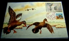UNITED STATES HAND PAINTED FIRST DAY COVER SIGNED C & C SCOTT RW 57 AND 2283