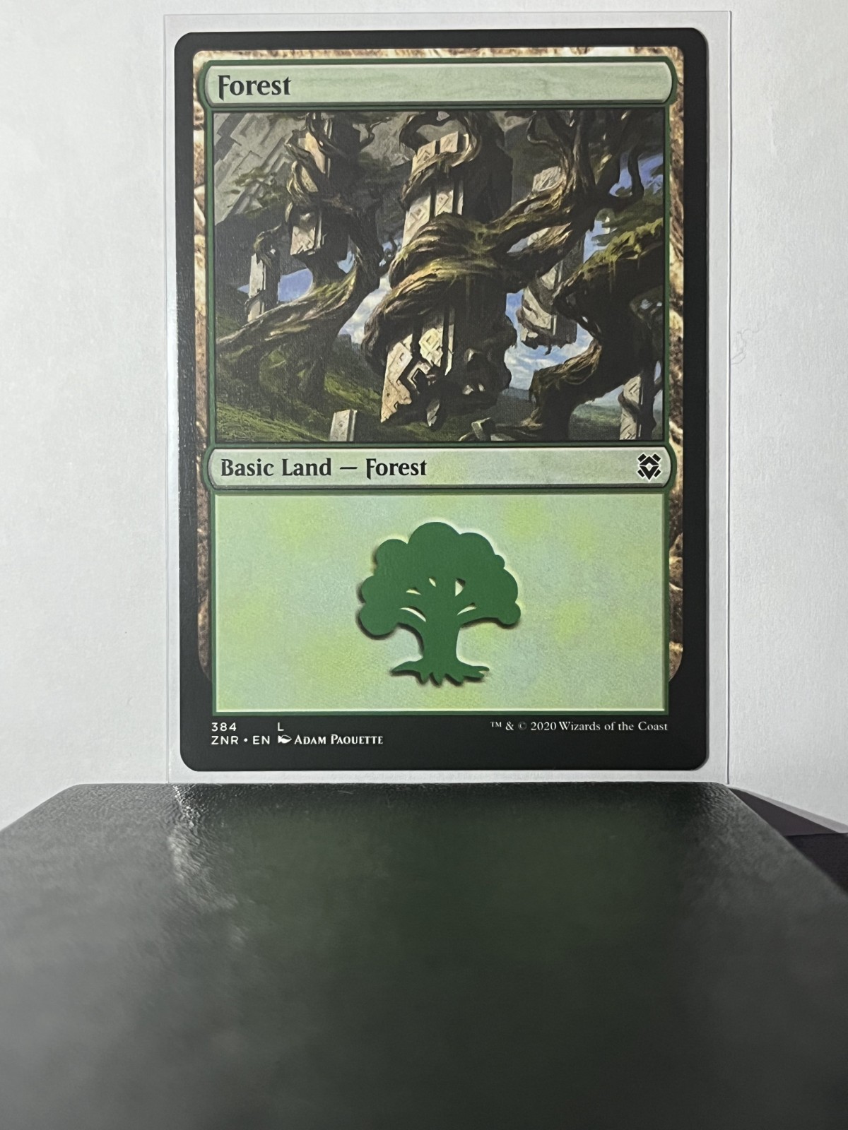 Forest 384 Basic Land Zendikar Rising ZNR