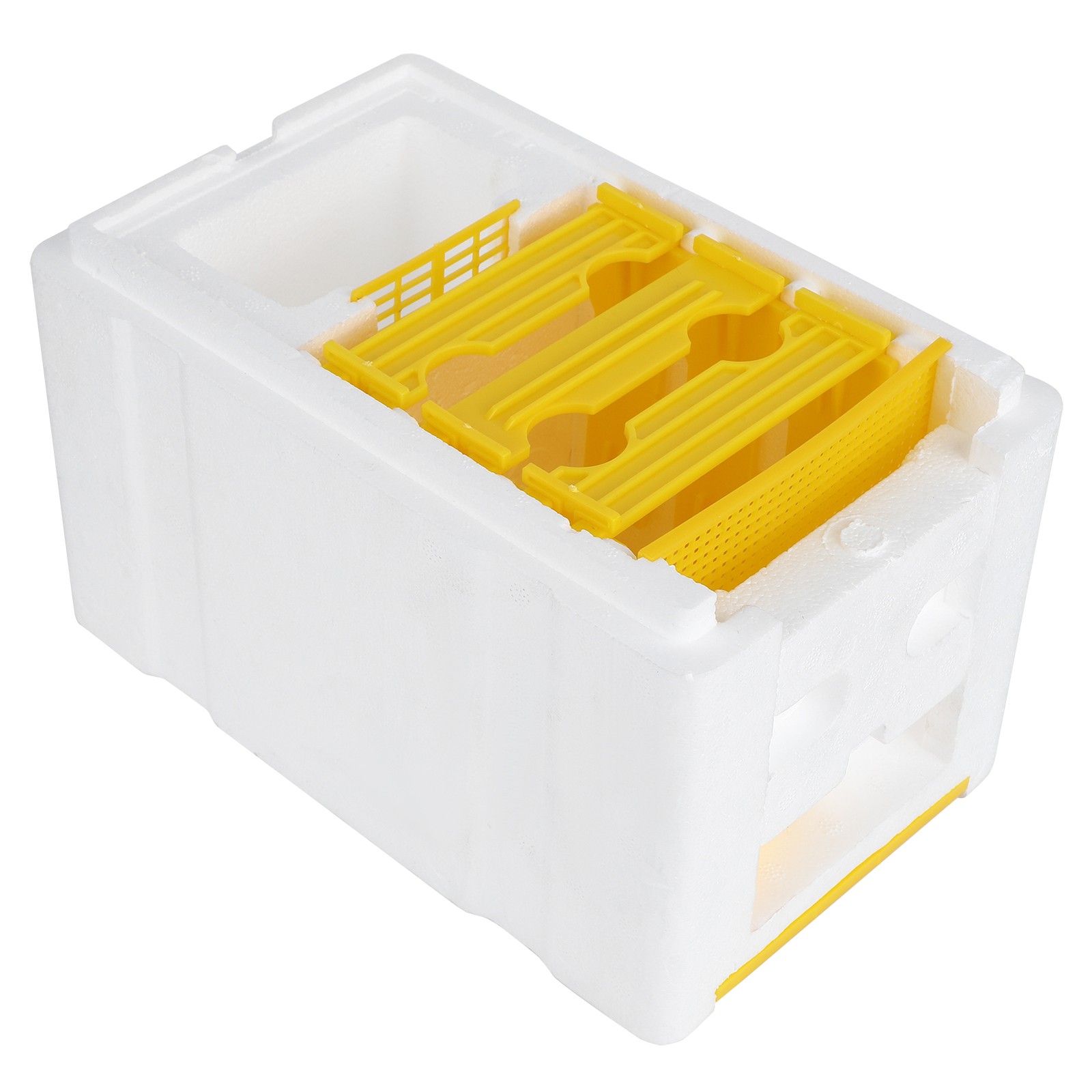Professional Queen Bee Mating Box Foam Breeding Rearing For Garden Pollination